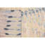 Abstract Area Rug-1505265992