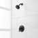 Pressure Balanced Dual Function Shower Faucet