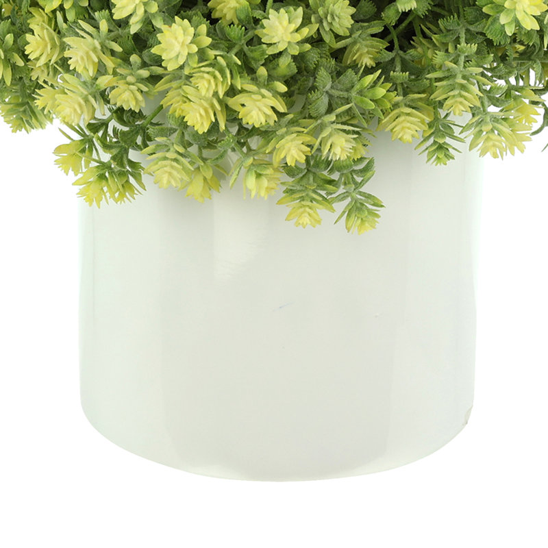 Sedum Arrangement in Fiberstone Pot