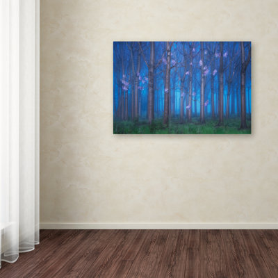 " Fairyland " by Jingshu Zhu