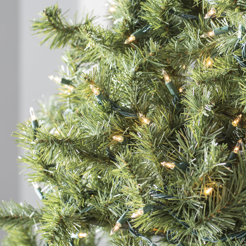 606'' String Lights, Clear