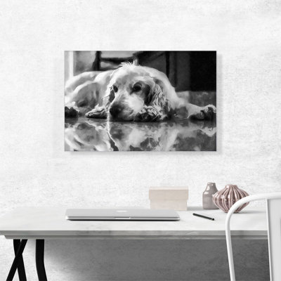 «English Cocker Spaniel Dog Breed», reproduction sur toile tendue
