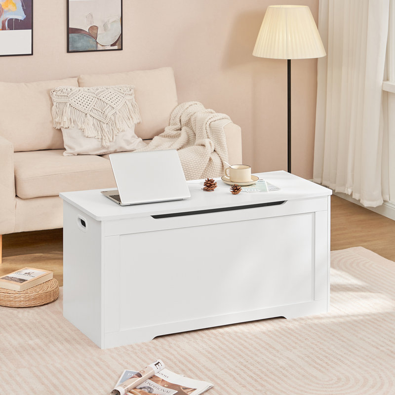 Coffre de rangement avec 2 charnières de sécurité, coffre de rangement, banc de rangement à plateau relevable, coffre à jouets, coffre à jouets pour la chambre à coucher