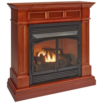 Duluth Forge Dual Fuel Ventless Gas Fireplace With Mantel