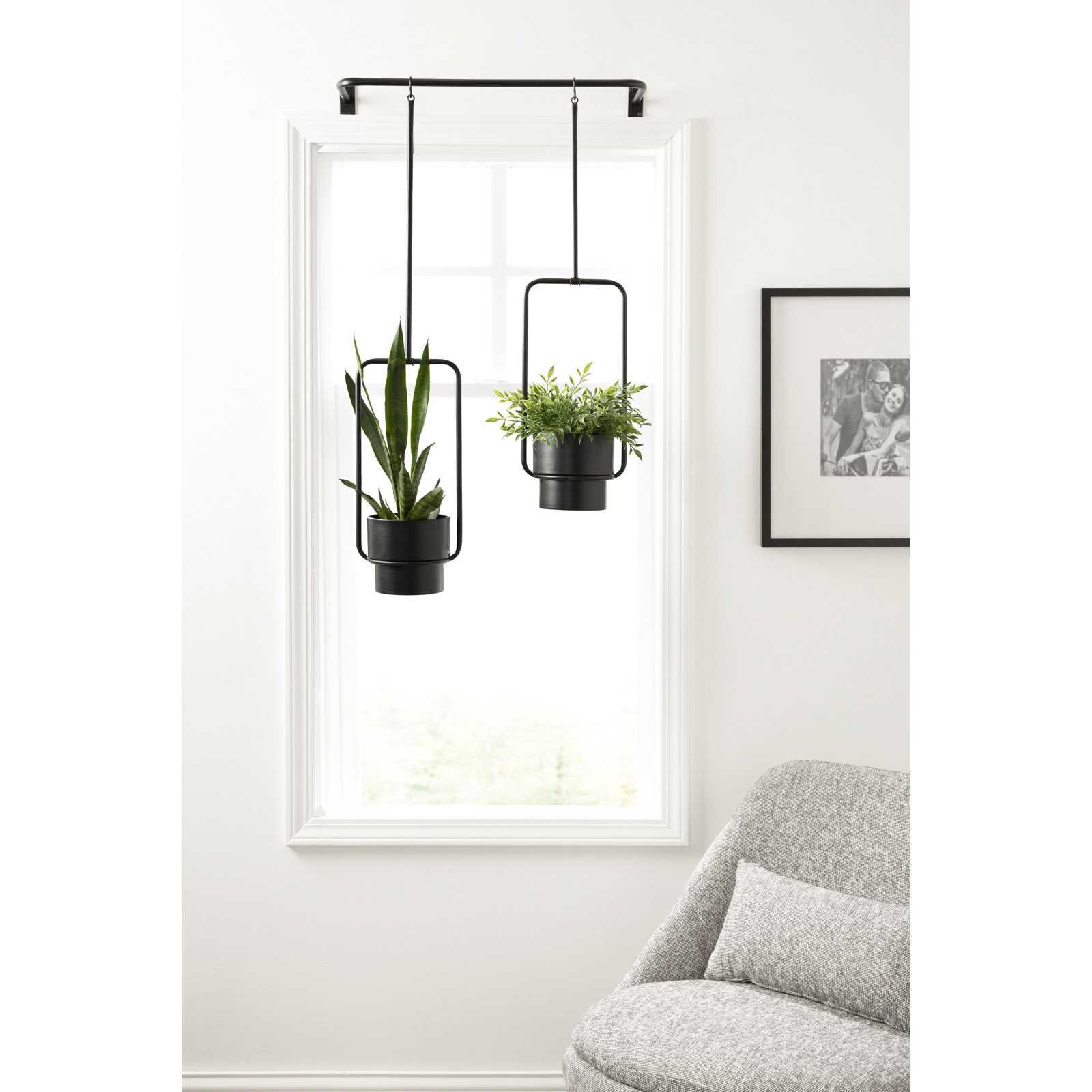Clemensia 24" Hanging Planter, Black