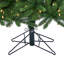 Sapin royal à DEL-105229894
