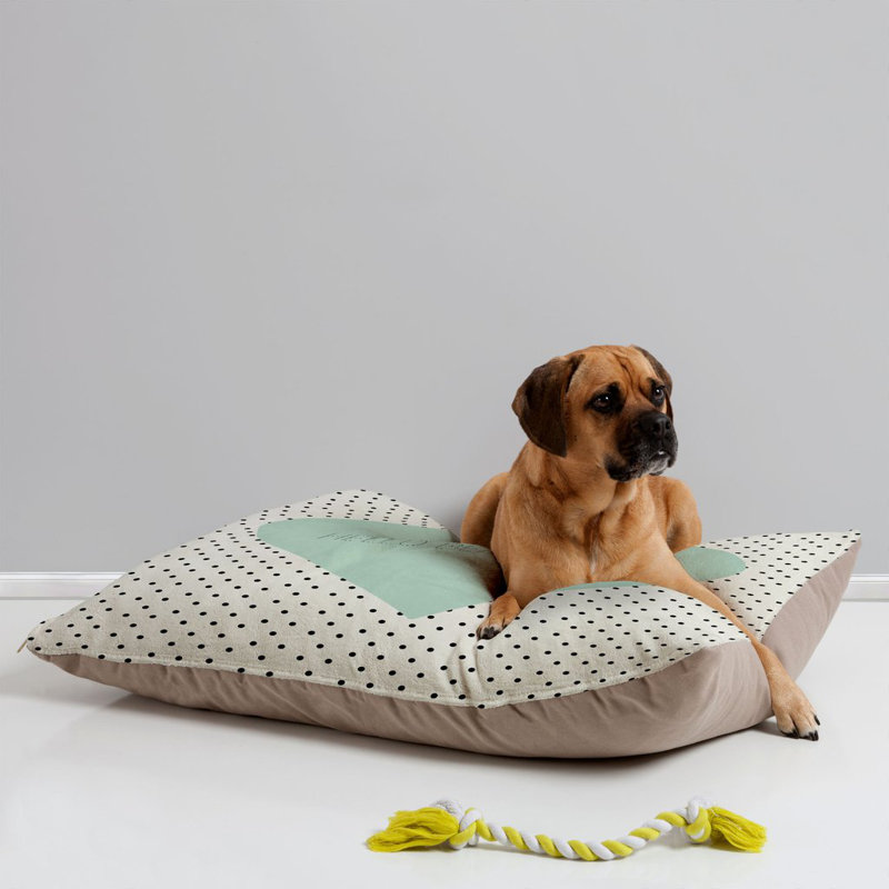 Coussin pour chien hello magnifique