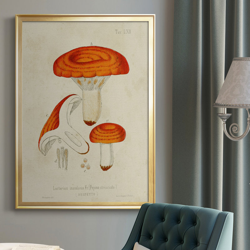 Mushroom Variétés, reproduction d'art sur toile, Doré, H 30,5 po x l 22,5 po x P 1 po