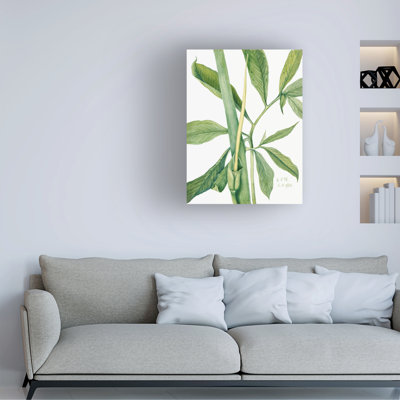 Bolog Mary Vaux Walcott Greendragon Canvas Art