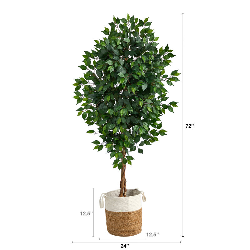 Ficus artificiel 72 po en pot, H 72 po x l 24 po