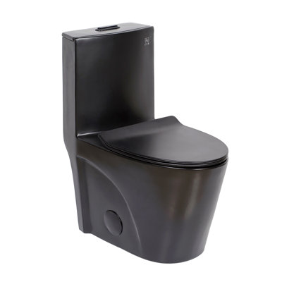 Abigail 1-piece 4/6L GPF Dual Flush Right Height Elongated Toilet in Black