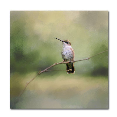 «Vidur Hummingbird» par Vidur, impression sur toile tendue