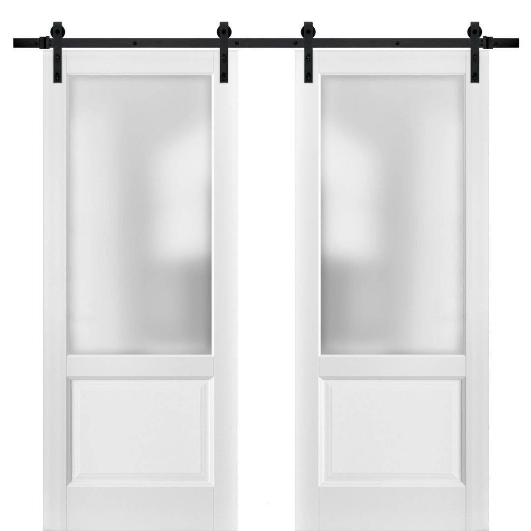 Lucia Frosted Glass Barn White Doors with Installation Hardware Kit SARTODOORS