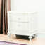 2 Nightstand For Bedroom - Spacious Tabletop Option With 2 Drawers Luxurious Accessory
