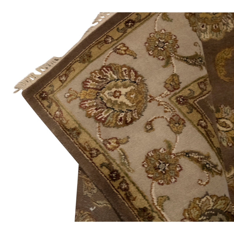 Oriental Area Rug in Brown/Camel