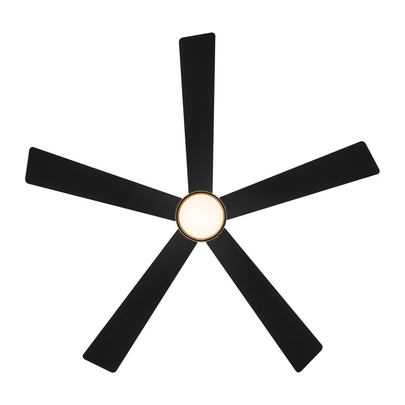 Oovin 54" 5CCT LED Smart Ceiling Fan, Brass, Coal