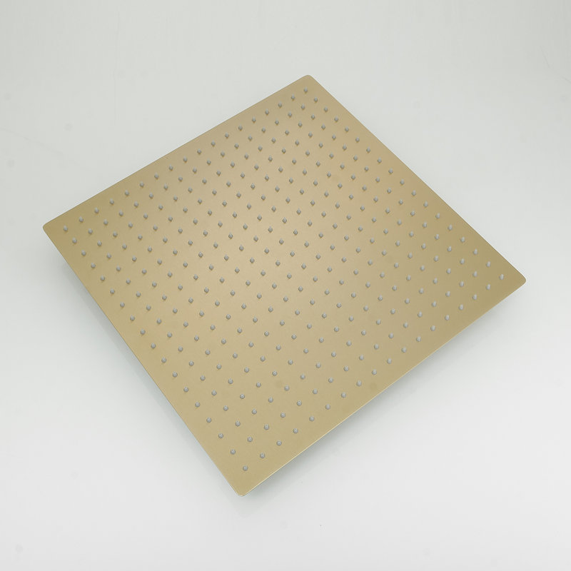 Adjustable Shower Head 2.5 GPM GPM, Brushed Gold