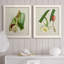 Impression encadrée Elegant Tropicals IPremium - prête à être accrochée-84878316-84713490-84713512