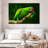 Military Macaw-107922822