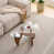 Transparent / brun