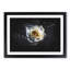 A Crisp White Rose - Picture Frame Graphic Art Print-56876752-56876750
