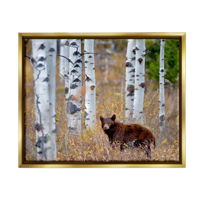 Au-900-Framed " Bear Cub Birch Tree Thicket " by Dennis Frates
