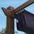Purple Leaf Aluminium Pergola With Canopy-80546450-96127694