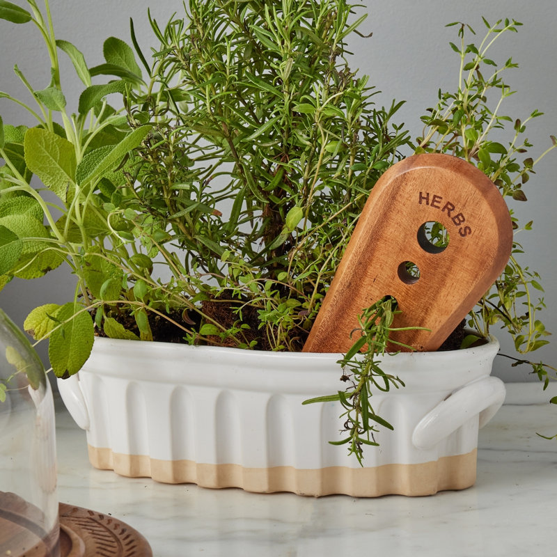 French Herb Stripper