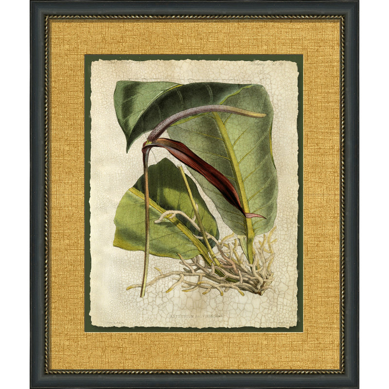 Crackled Tropical Foliage II Painting