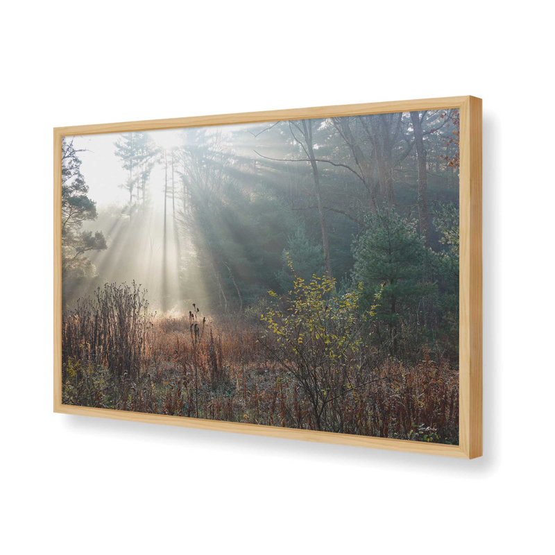 The Sunlight Above by Lori Deiter Art Print, Tan, Framed Print, 48 W x 32 H