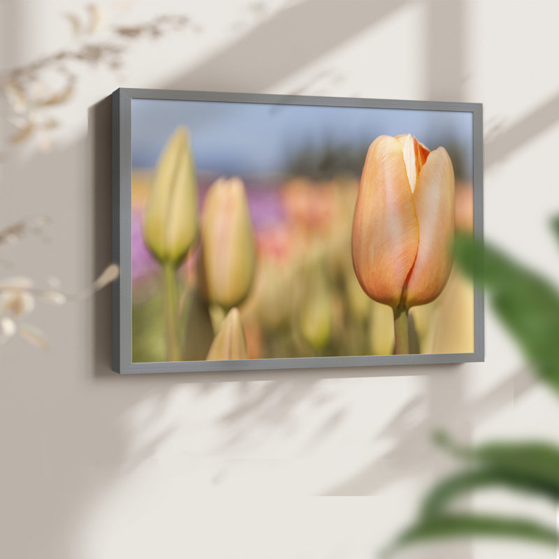 Opening to the Sun -Framed Print - Restickable, H 8 po x l 10 po, Gris