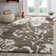 Chaffin Shag Performance Floral Rug