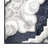Mountview Floral Indoor Rug-1648025890