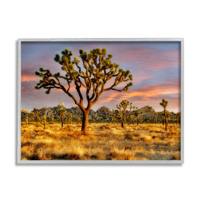 " Savanna Trees " by Dennis Frates