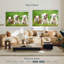 Chiots bouledogue anglais-1882534965