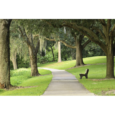 Peaceful Park Bench by Joerosh