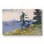 Cerf dans les Adirondacks-Winslow Homer-Gallery, toile tendue-1889-1878687075