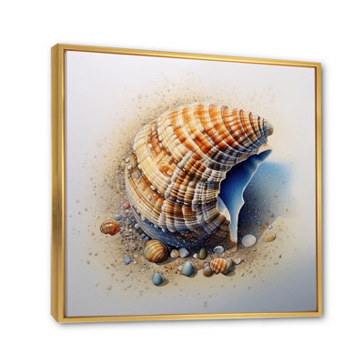 Coastal Seashell III - Animals Wall Decor