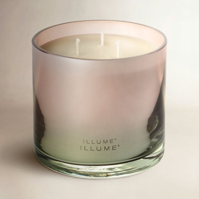 Coconut Milk Mango Scented Jar Candle