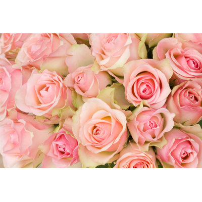 Bouquet de roses roses