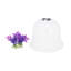 Mini serre de 8 1/4 po de hauteur moyenne en plastique réutilisable, plante cloche de jardin