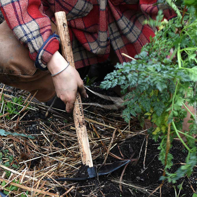 Hoe Garden Tool - 18” Double-Sided Carbon Steel Garden Hoe and 2-Prong Cultivator - Multipurpose Tiller, Seeding, Planting and Weeding Tool - Hand Gardening Tools by Kings County Tools