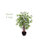 Faux Bamboo Tree in Planter-1223083804