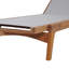Chaise longue d'extérieur-1547396313