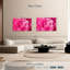 Pivoine rose brillante-436863258