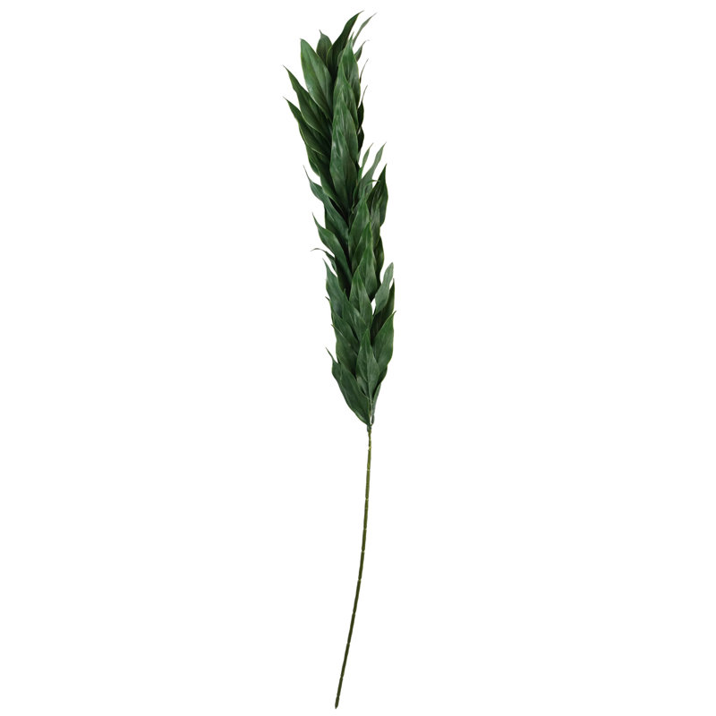 Andarius Arrangement