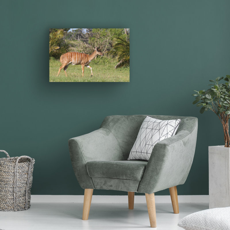Art sur toile, Bob Bob Langrish Nyala, H 16 po x l 24 po