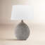 Denali Table Lamp-1952815315