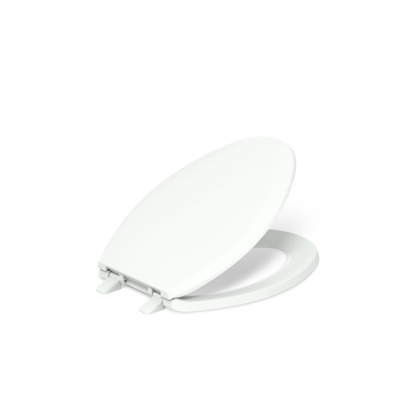Lustra with Quick-Release Hinges Toilet Seat, Tea Green, Elongated