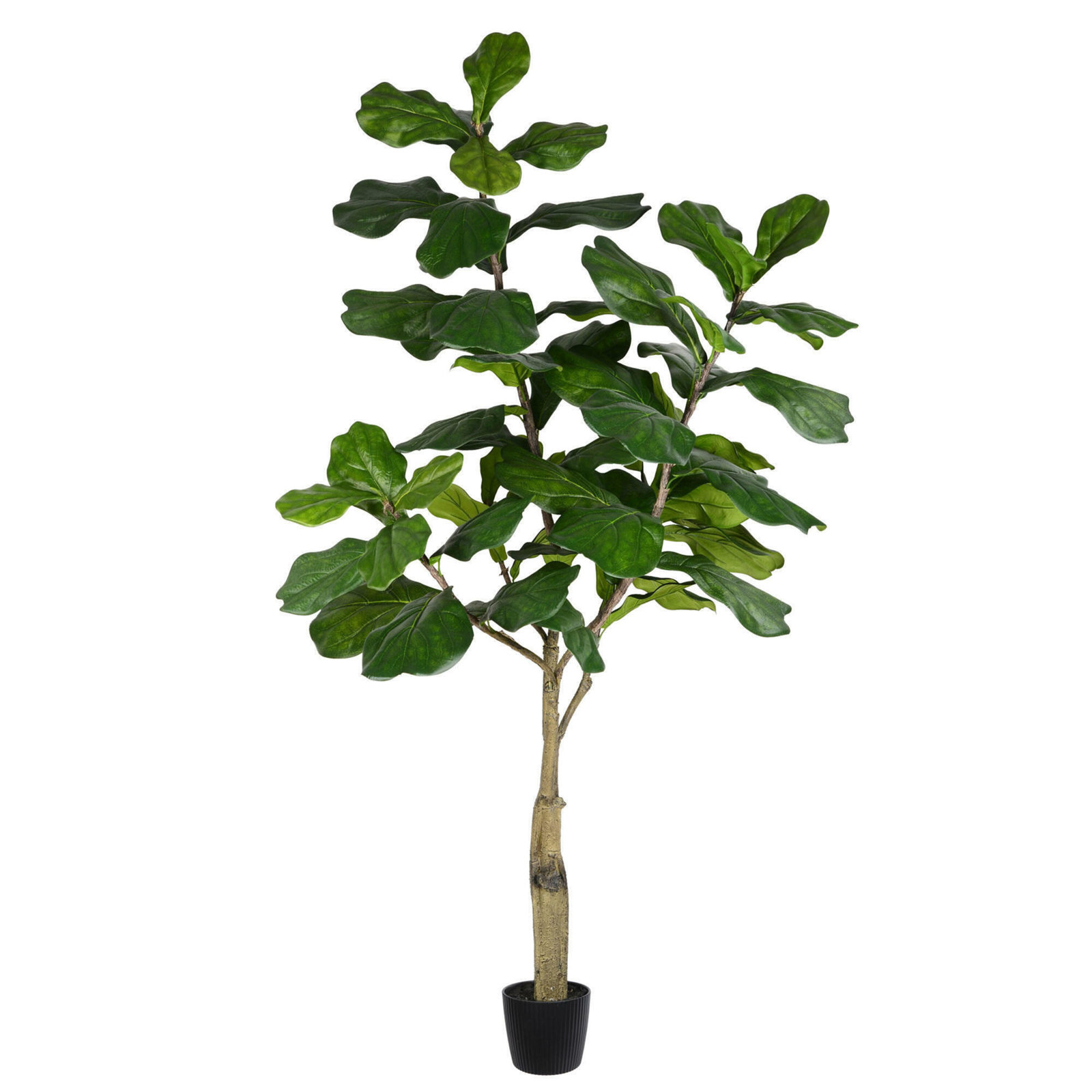 84" Fiddle Leaf Fig Tree in Pot, 72" H x 34" W x 34" D